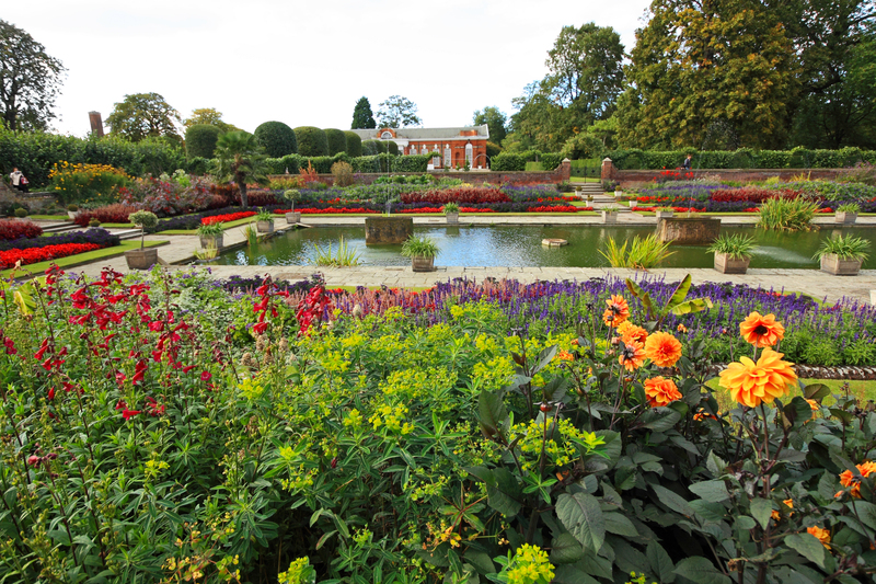 garden design garden care