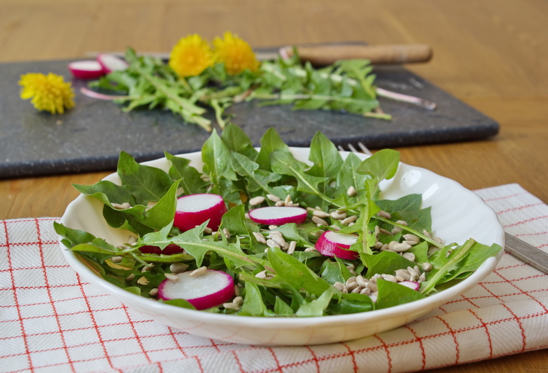 garden maintenance garden