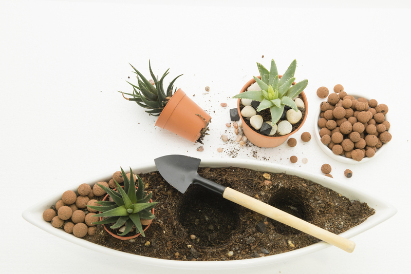 garden maintenance garden